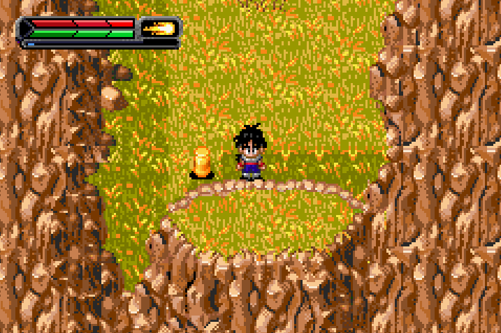 SE of Vegeta Gate Golden Capsule